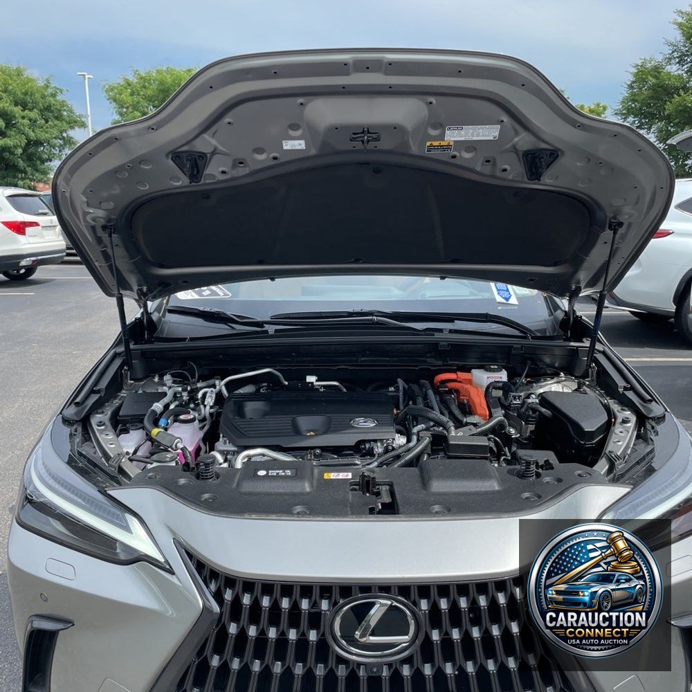 2025 Lexus NX 450h+ Base