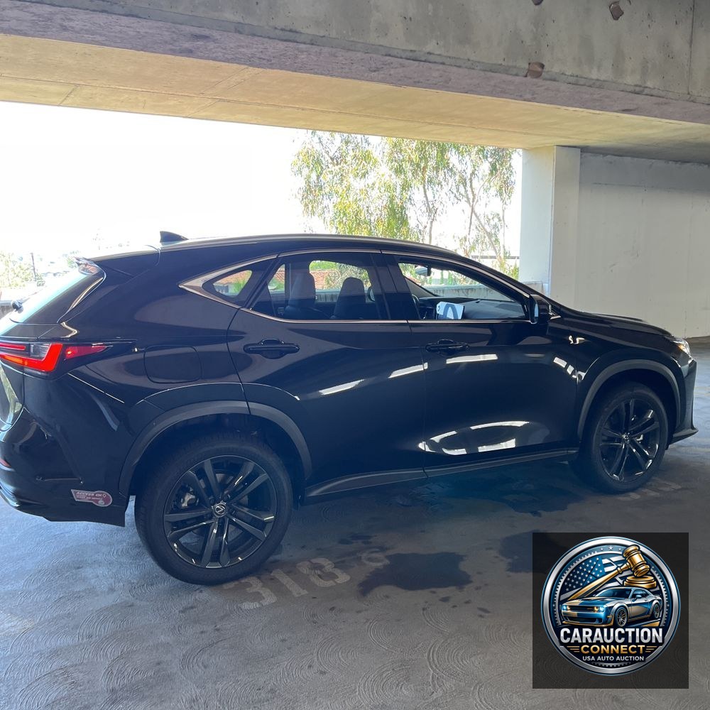 2024 Lexus NX 450h+ Base