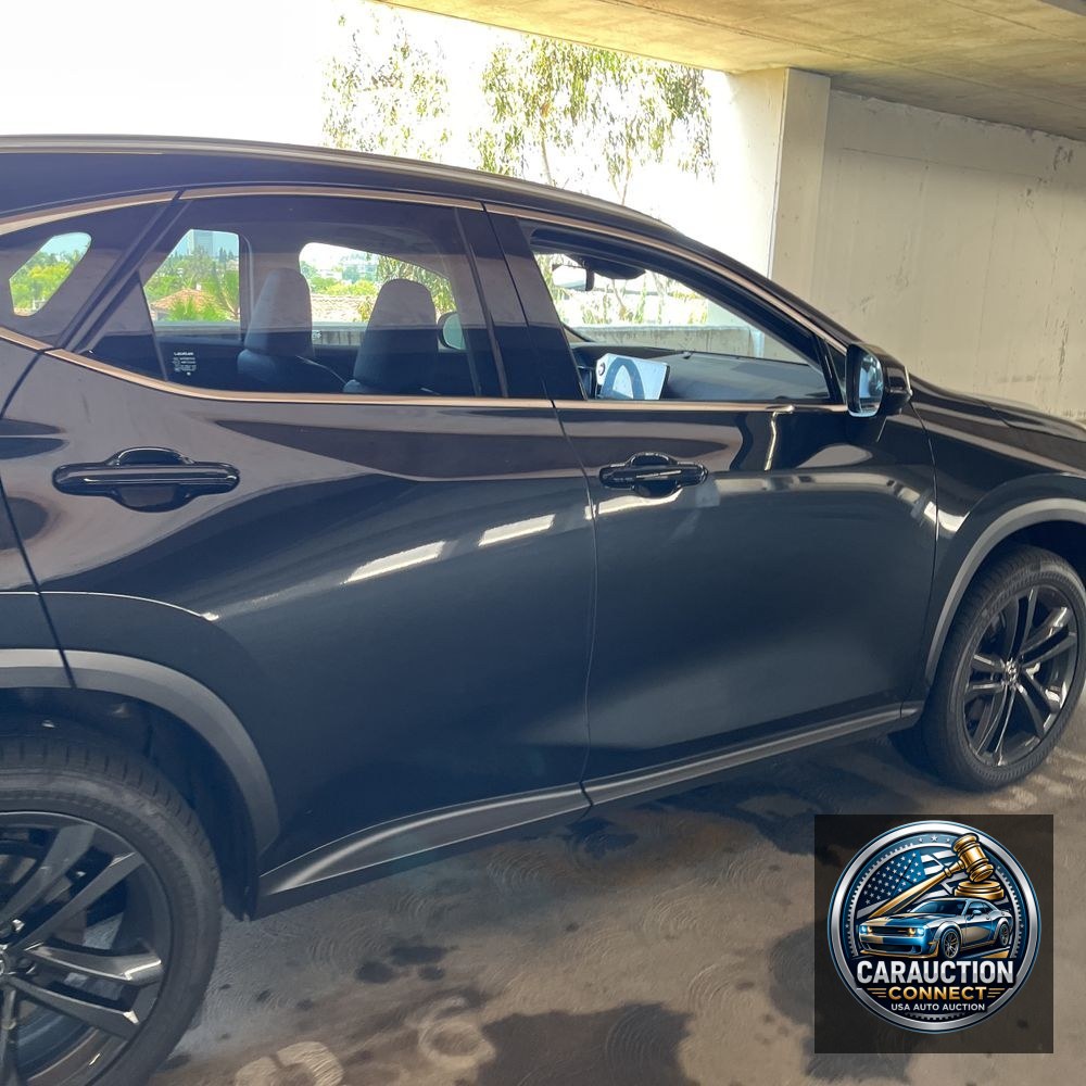 2024 Lexus NX 450h+ Base