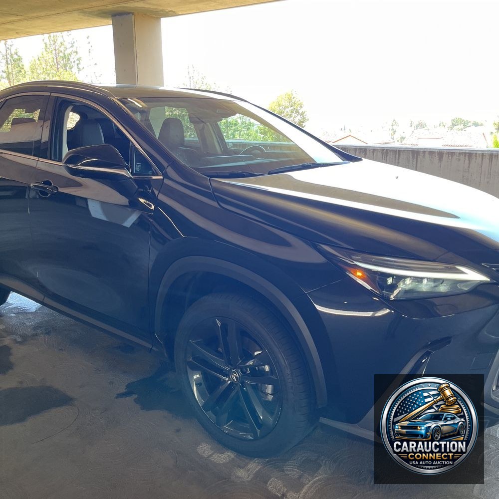 2024 Lexus NX 450h+ Base