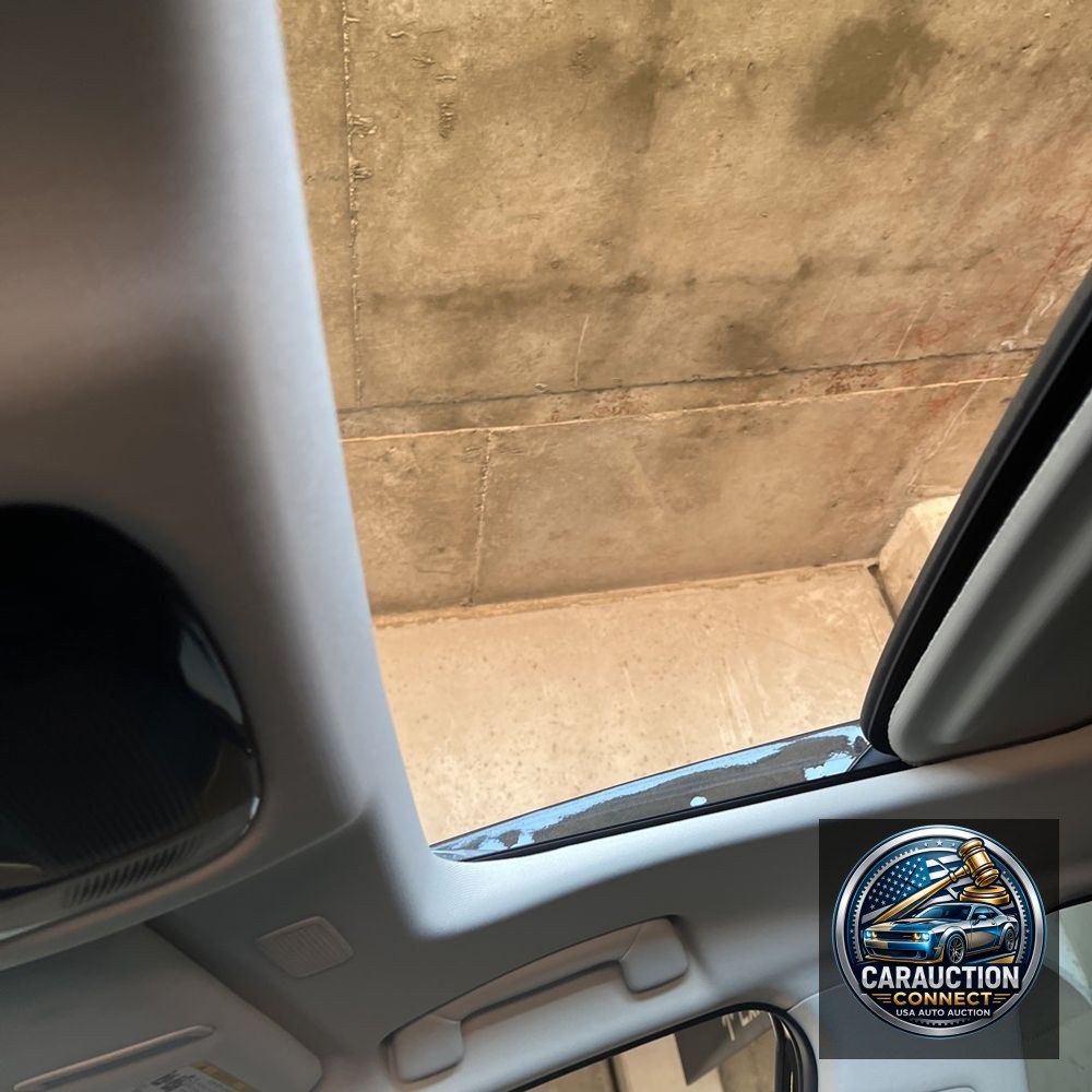 2024 Lexus NX 450h+ Base