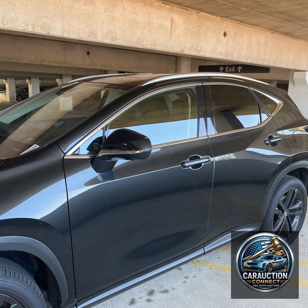 2024 Lexus NX 450h+ Base