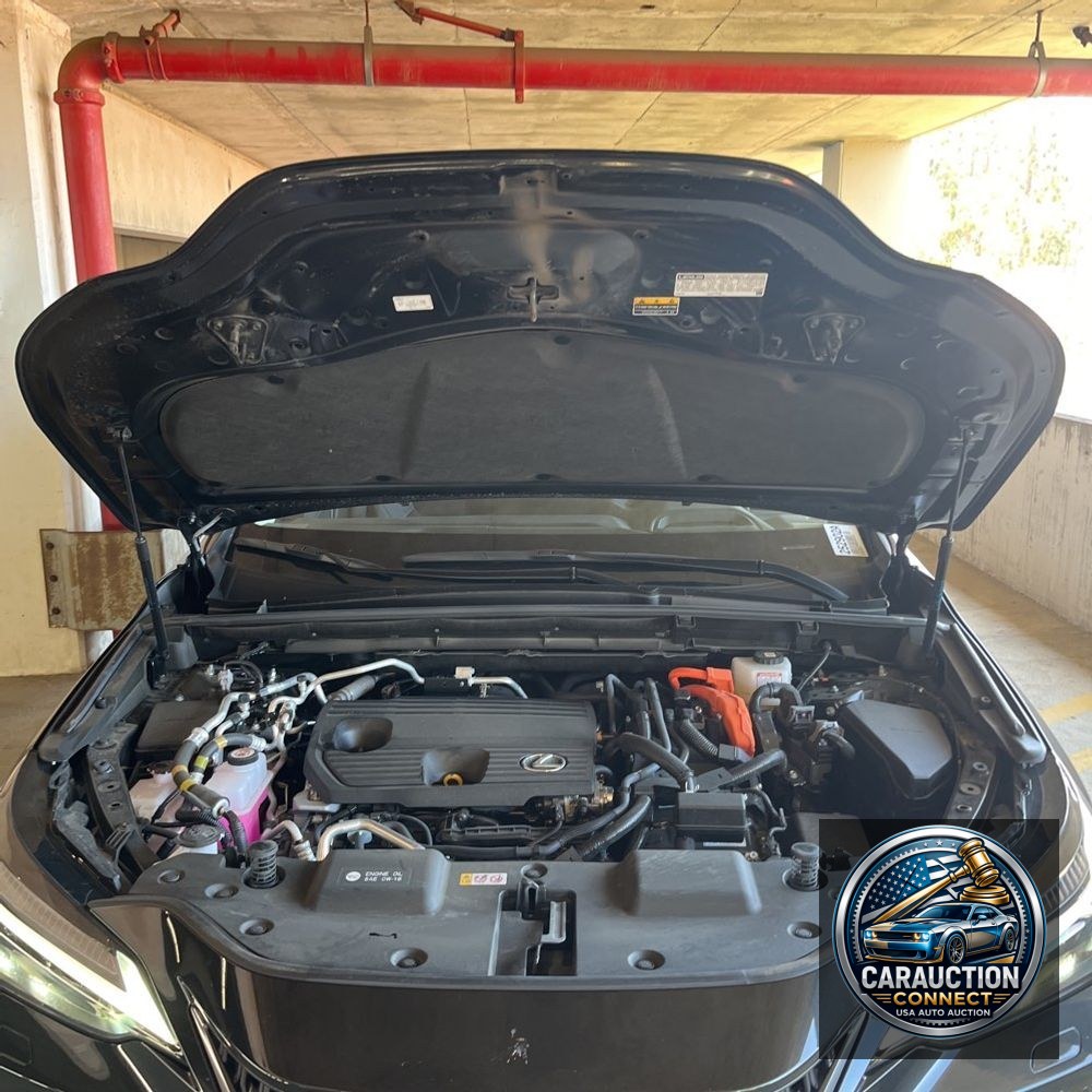 2024 Lexus NX 450h+ Base