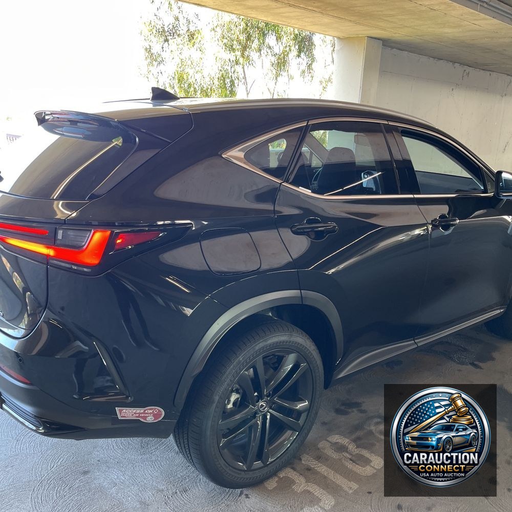 2024 Lexus NX 450h+ Base