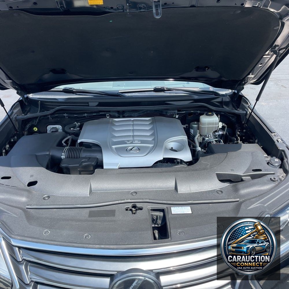 2019 Lexus LX 570 Three-Row