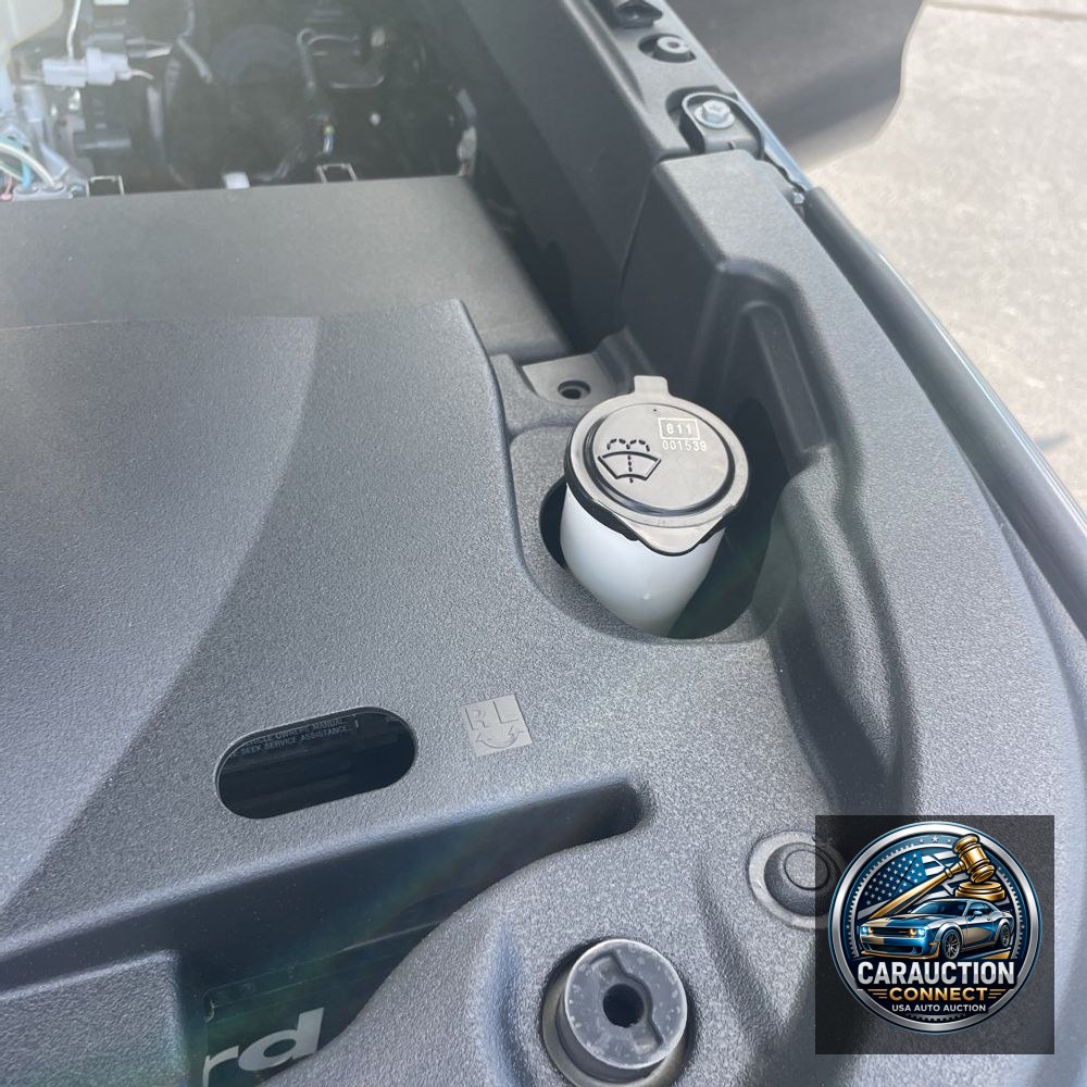 2019 Lexus LX 570 Two-Row