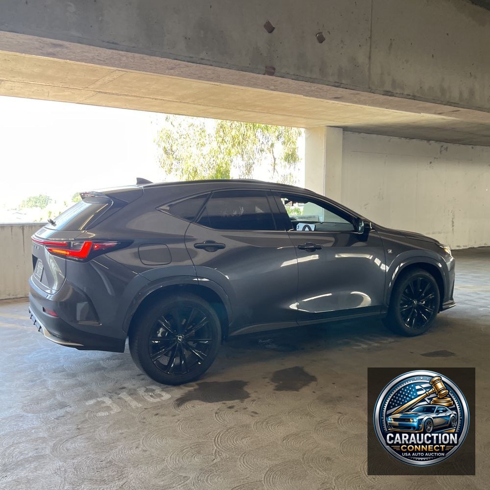 2024 Lexus NX 450h+ F SPORT Handling