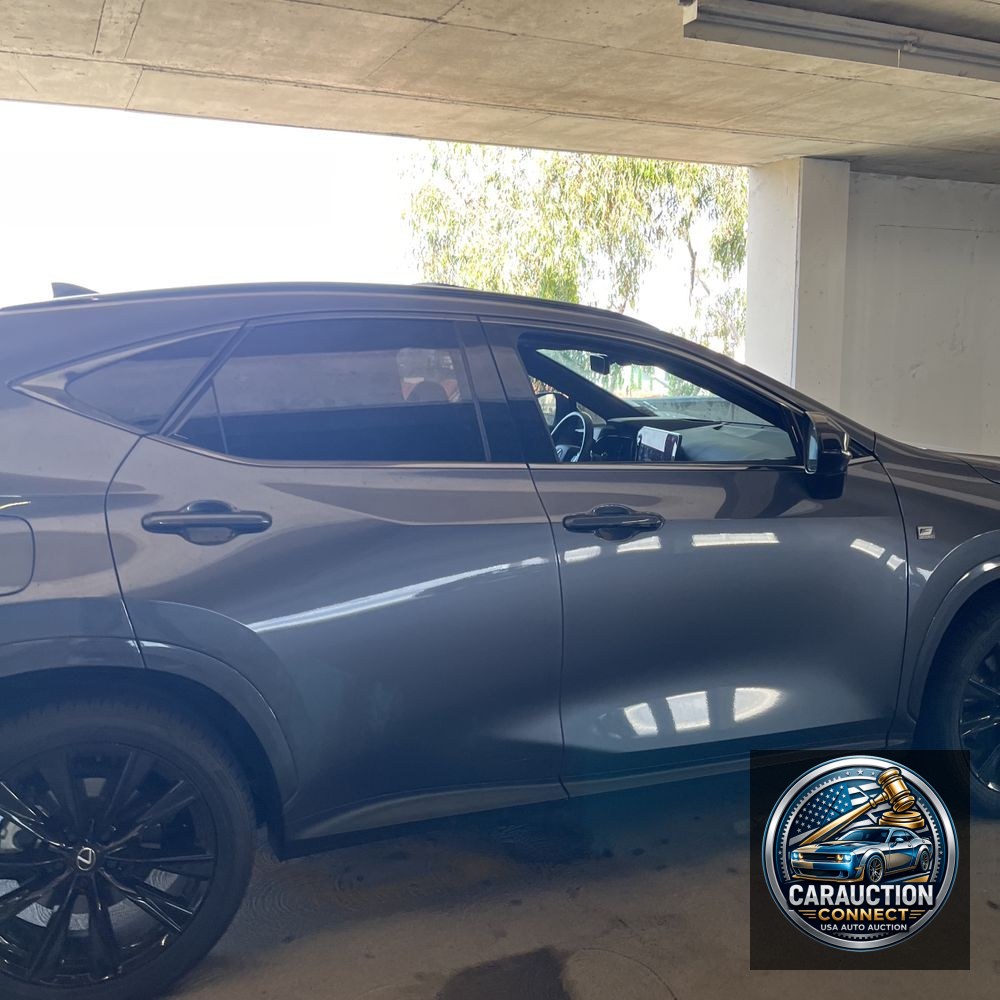 2024 Lexus NX 450h+ F SPORT Handling