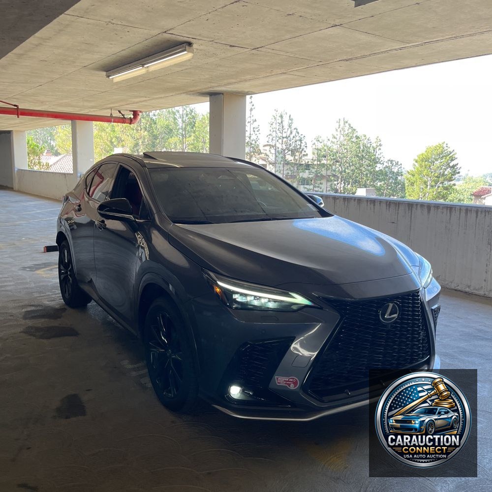 2024 Lexus NX 450h+ F SPORT Handling
