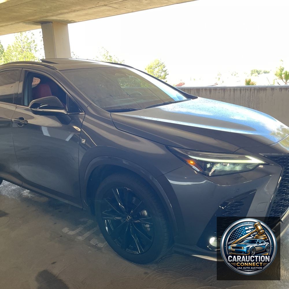 2024 Lexus NX 450h+ F SPORT Handling