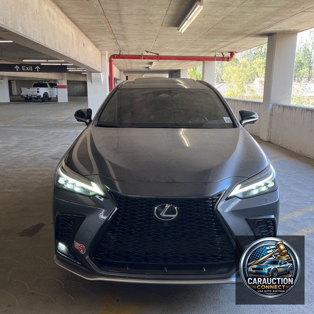 2024 Lexus NX 450h+ F SPORT Handling