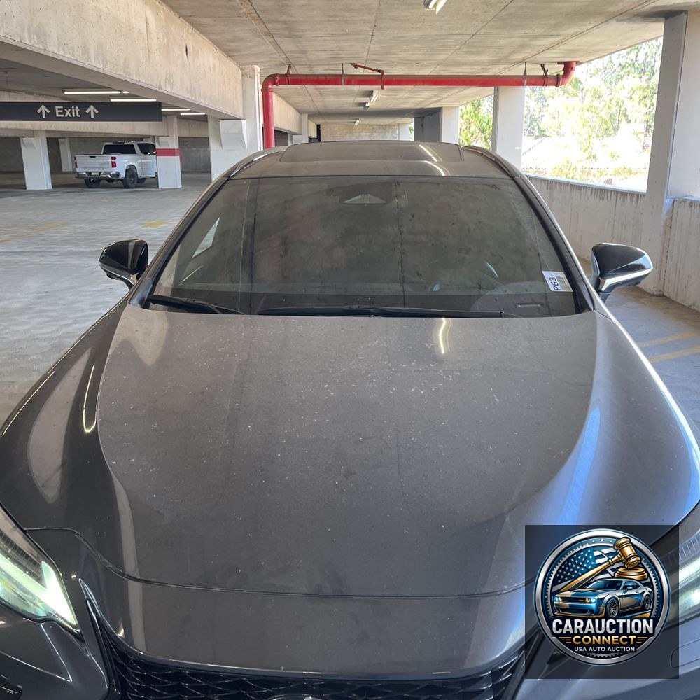 2024 Lexus NX 450h+ F SPORT Handling