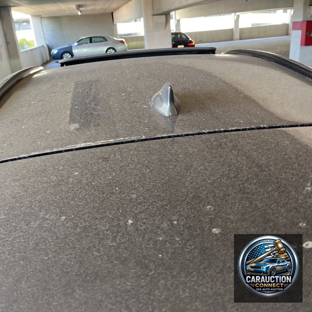 2024 Lexus NX 450h+ F SPORT Handling