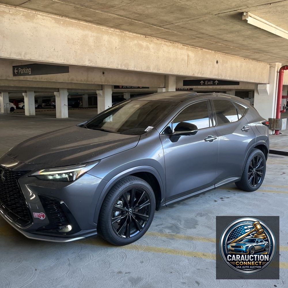 2024 Lexus NX 450h+ F SPORT Handling