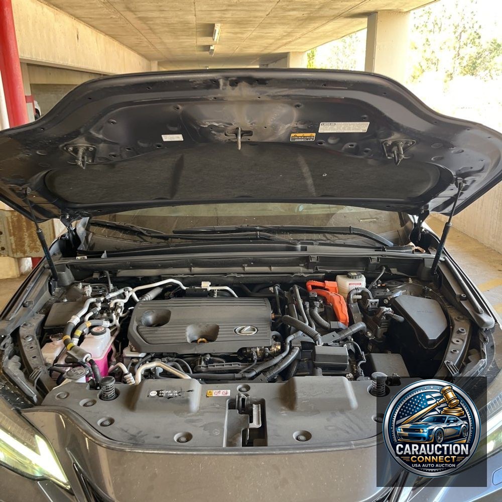 2024 Lexus NX 450h+ F SPORT Handling