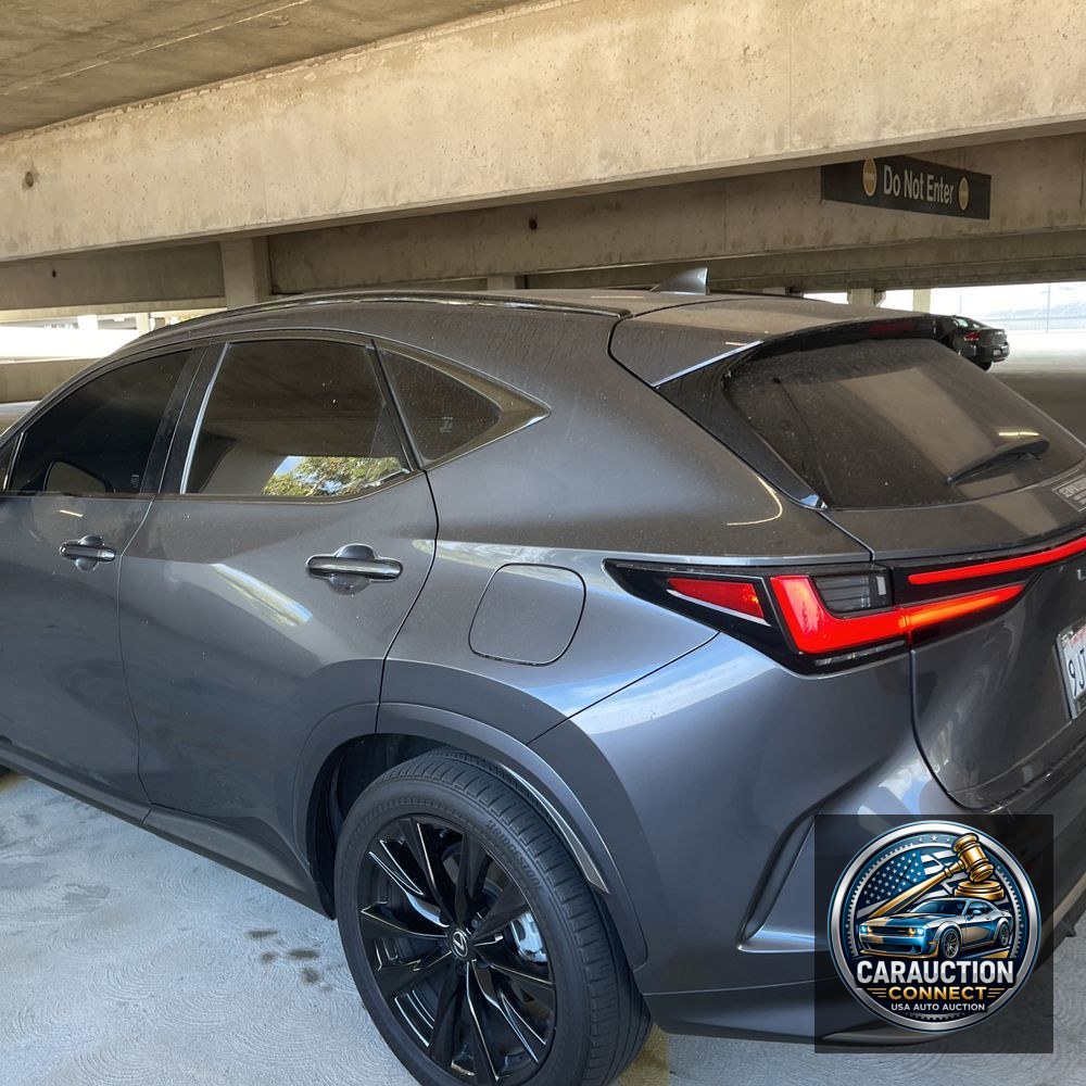 2024 Lexus NX 450h+ F SPORT Handling