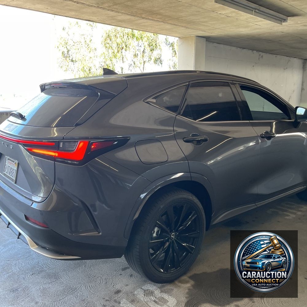 2024 Lexus NX 450h+ F SPORT Handling