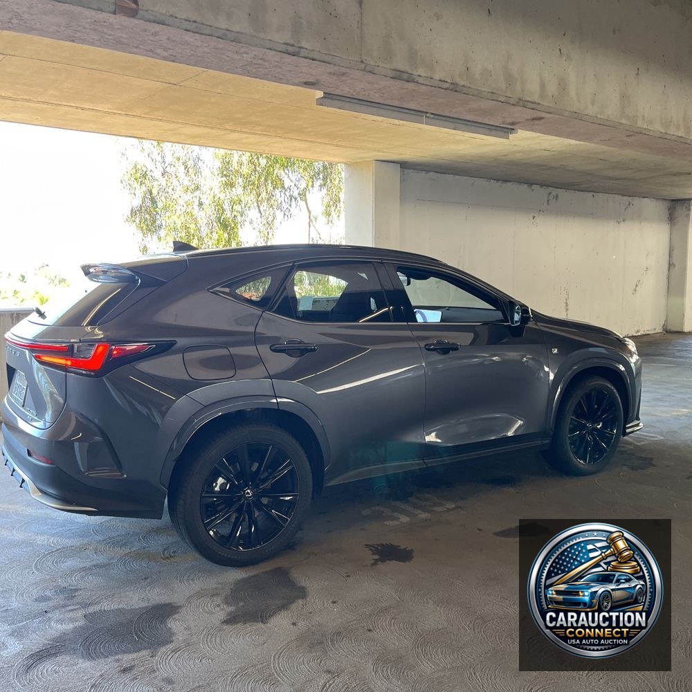 2022 Lexus NX 450h+ F SPORT Handling