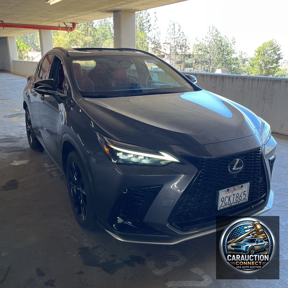 2022 Lexus NX 450h+ F SPORT Handling
