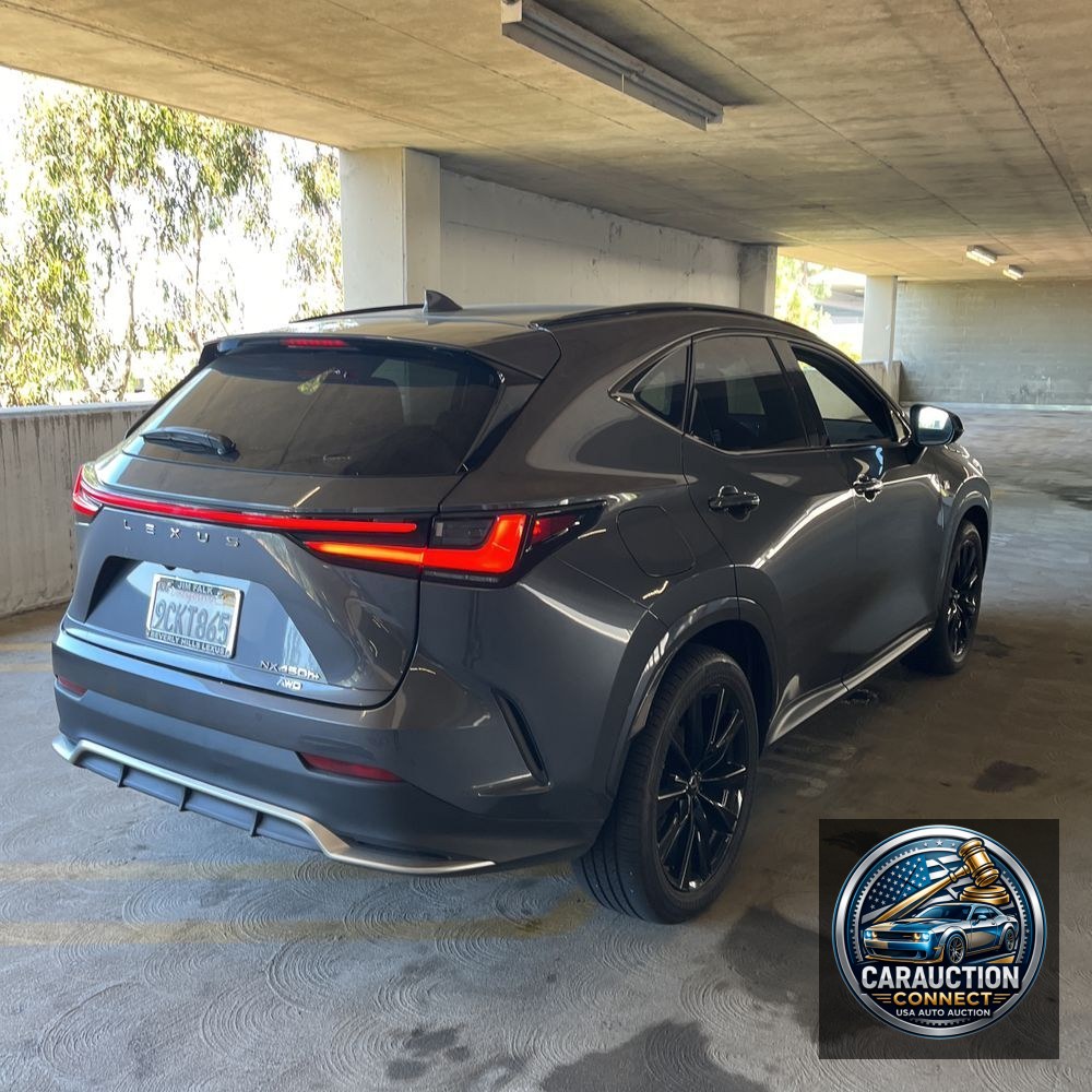 2022 Lexus NX 450h+ F SPORT Handling