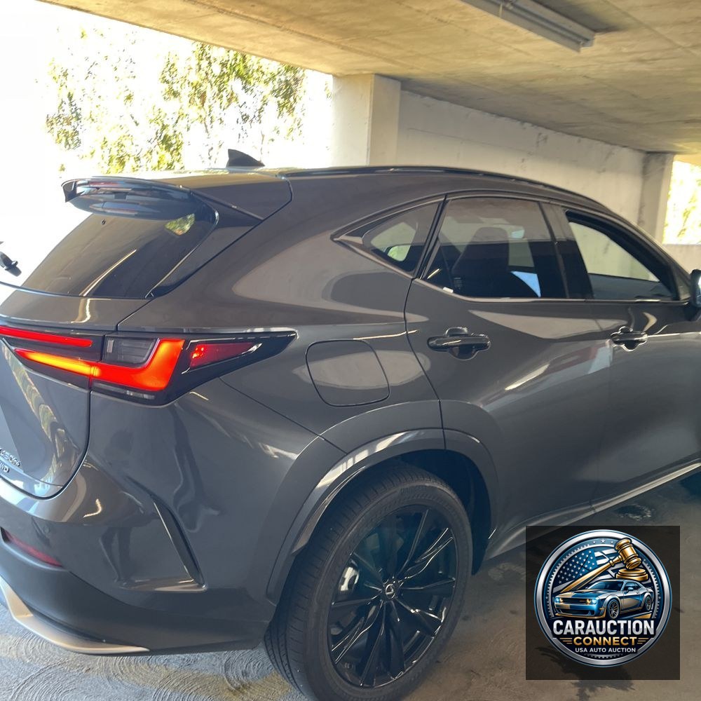 2022 Lexus NX 450h+ F SPORT Handling