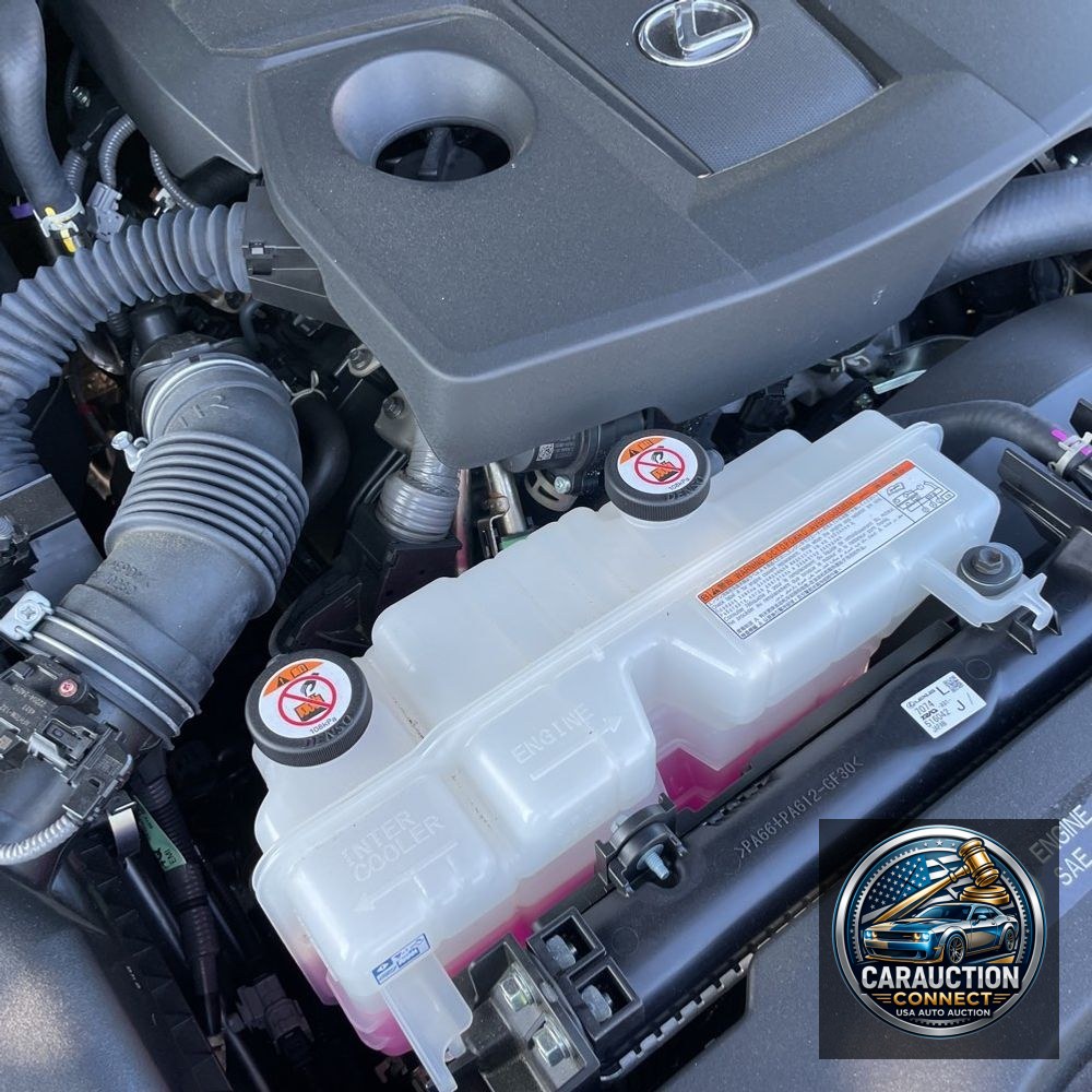 2024 Lexus GX 550 Premium