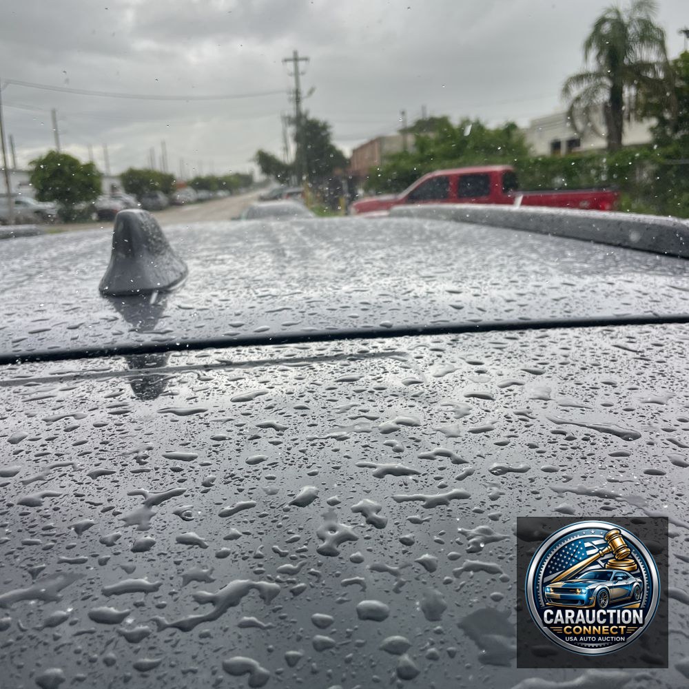 2024 Lexus GX 550 Premium+