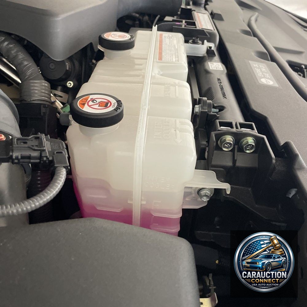 2024 Lexus GX 550 Premium+