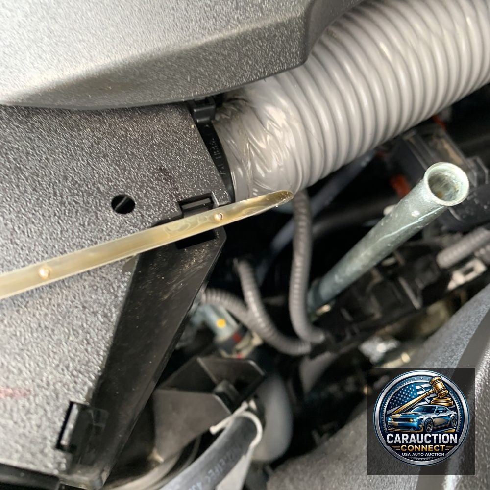 2024 Lexus GX 550 Overtrail+