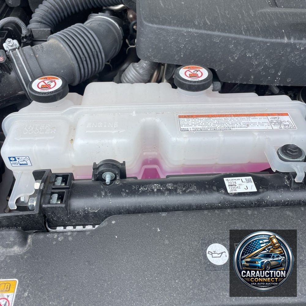 2024 Lexus GX 550 Overtrail+