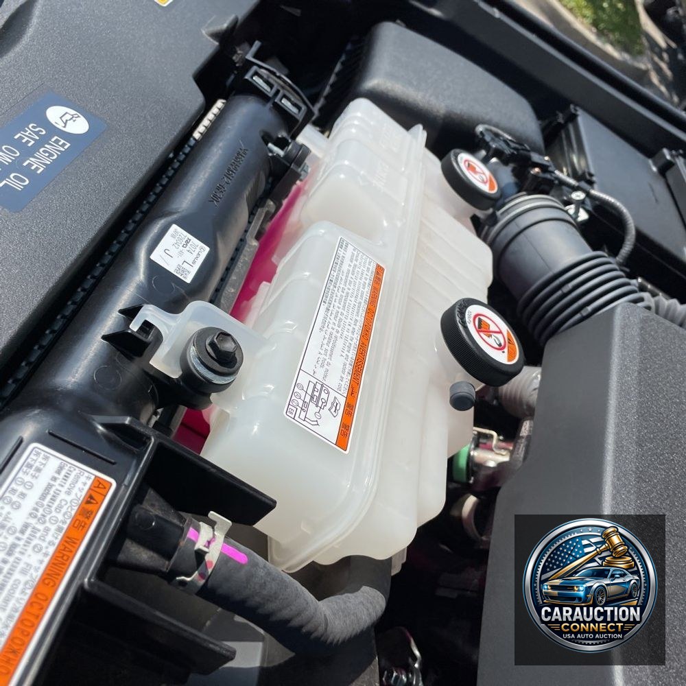 2024 Lexus GX 550 Overtrail+
