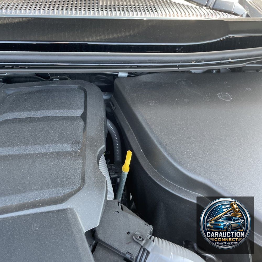2024 Lexus GX 550 Luxury+