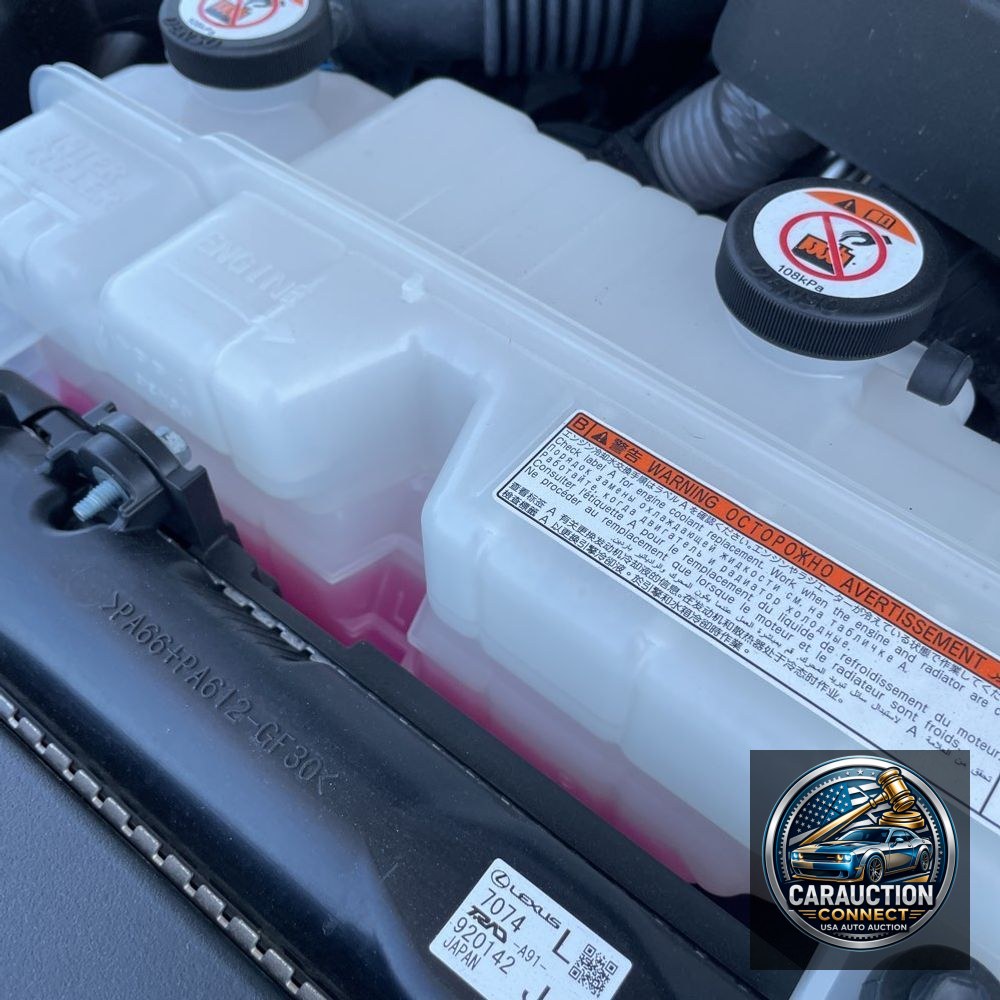 2024 Lexus GX 550 Luxury+