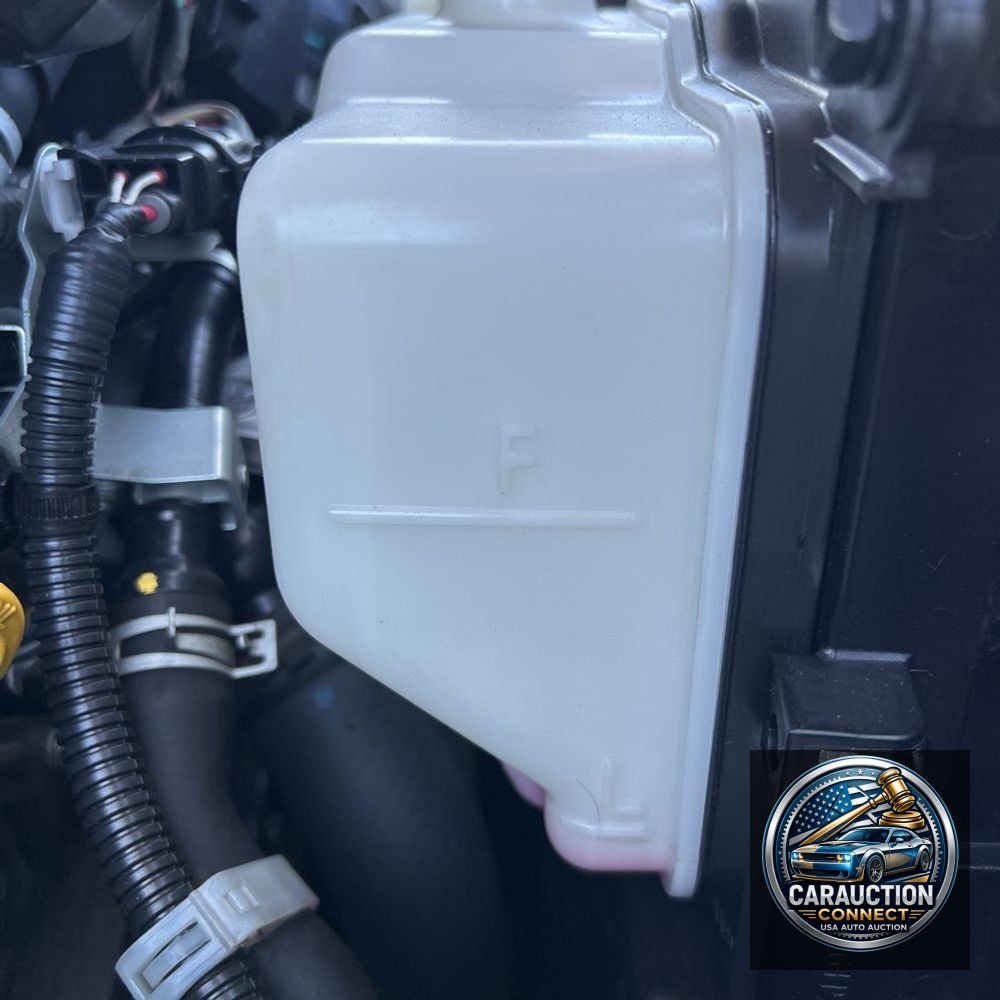 2019 Toyota Land Cruiser Base