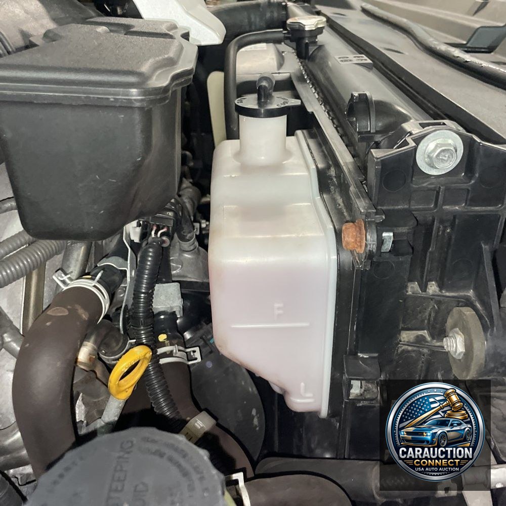 2019 Toyota Land Cruiser Base