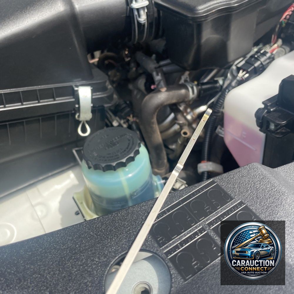 2019 Toyota Land Cruiser Base