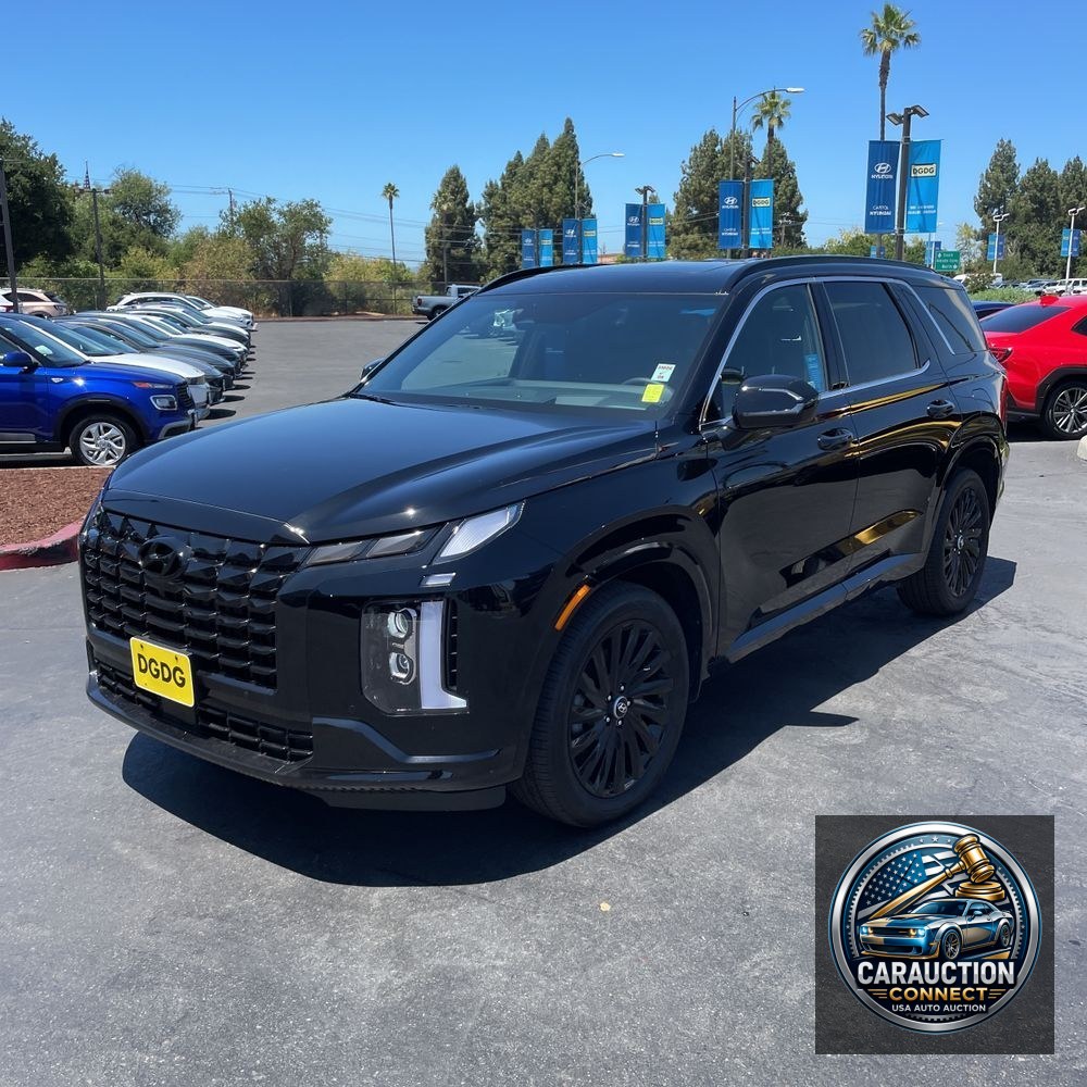 2025 Hyundai PALISADE Calligraphy Night Edition