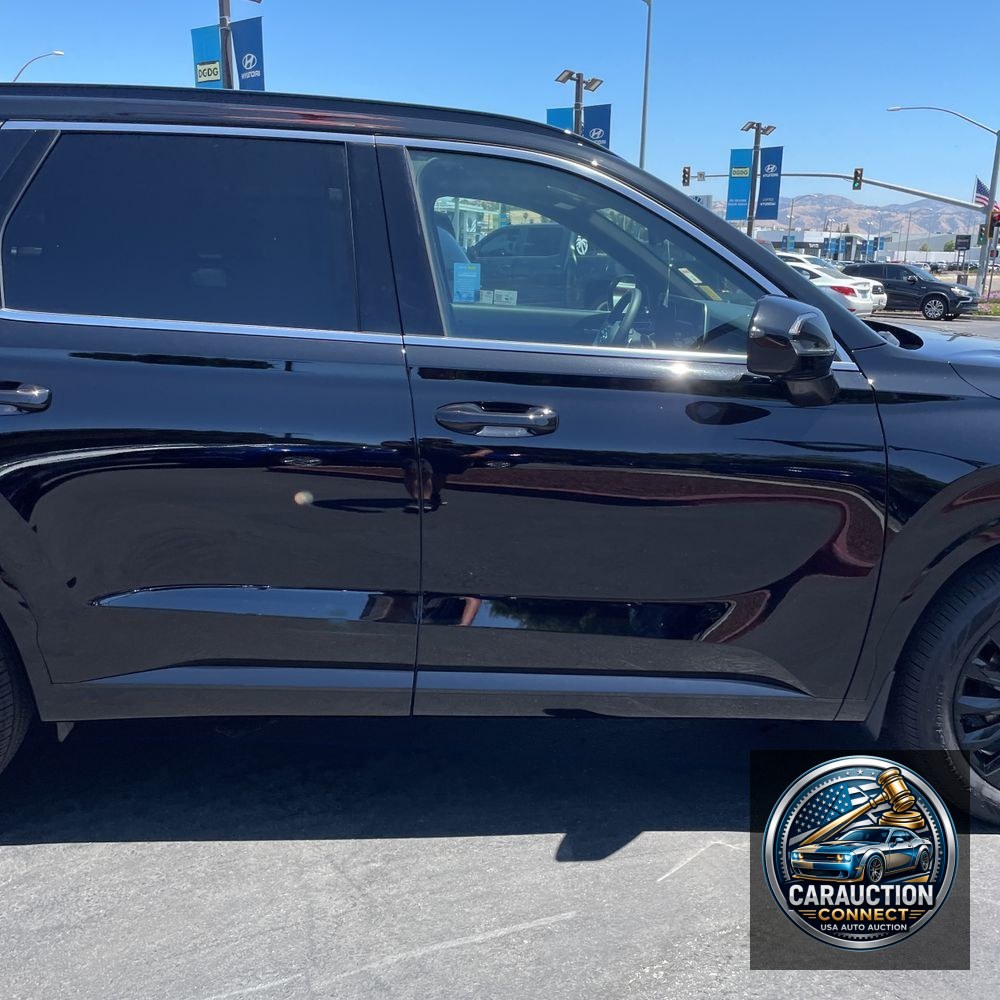 2025 Hyundai PALISADE Calligraphy Night Edition