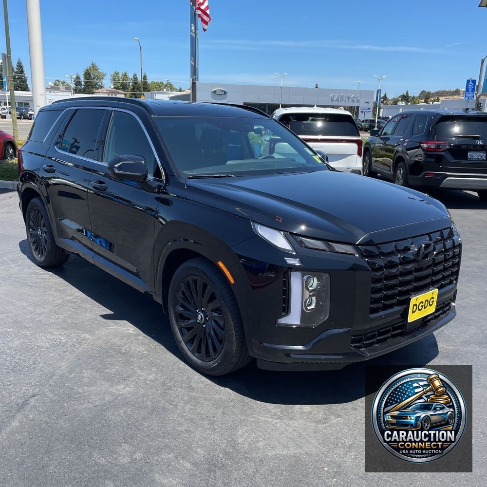 2025 Hyundai PALISADE Calligraphy Night Edition