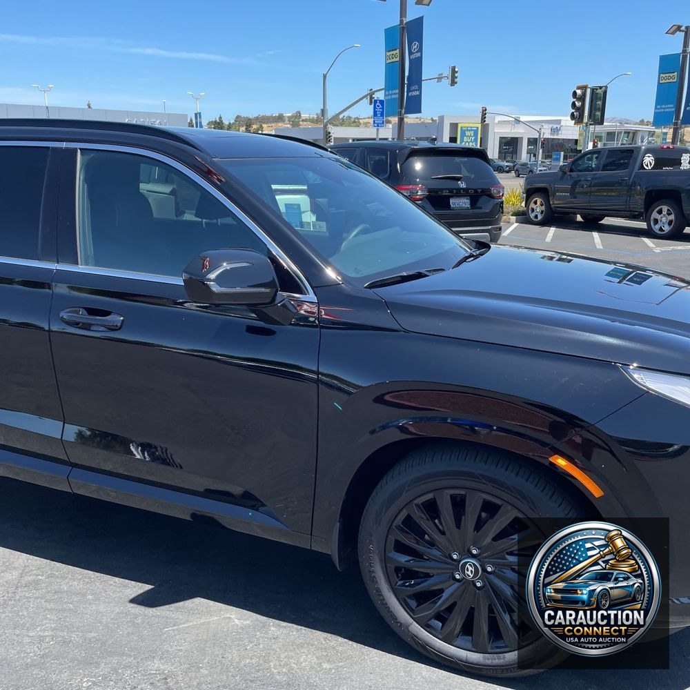 2025 Hyundai PALISADE Calligraphy Night Edition