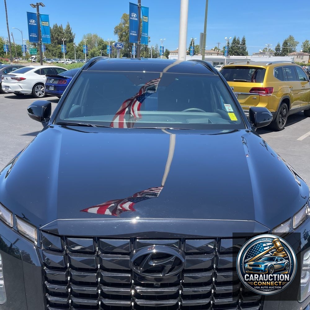 2025 Hyundai PALISADE Calligraphy Night Edition