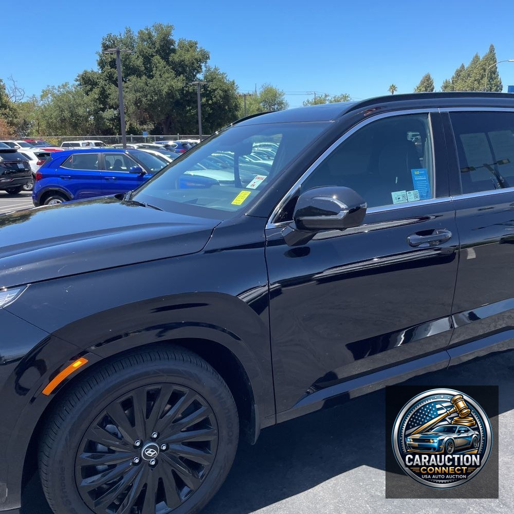 2025 Hyundai PALISADE Calligraphy Night Edition
