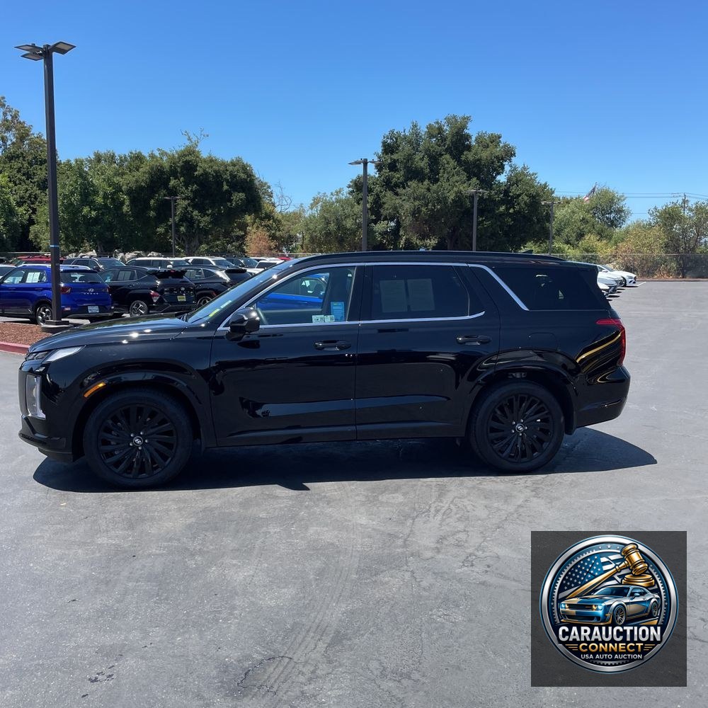 2025 Hyundai PALISADE Calligraphy Night Edition