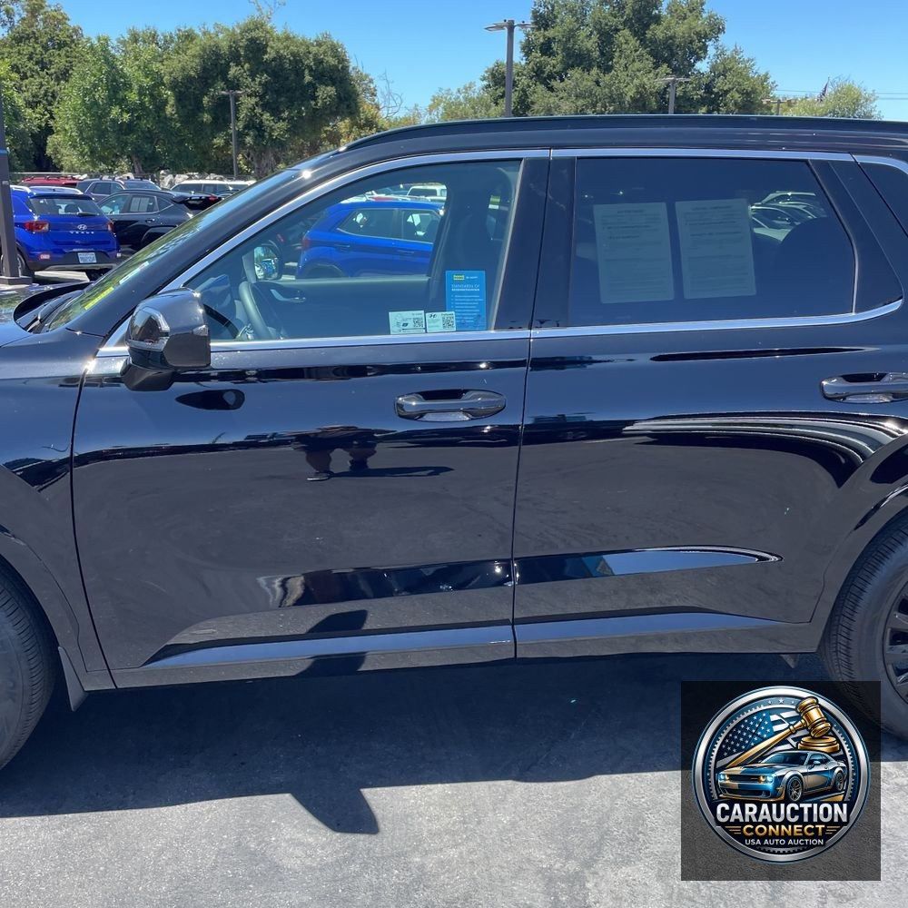 2025 Hyundai PALISADE Calligraphy Night Edition