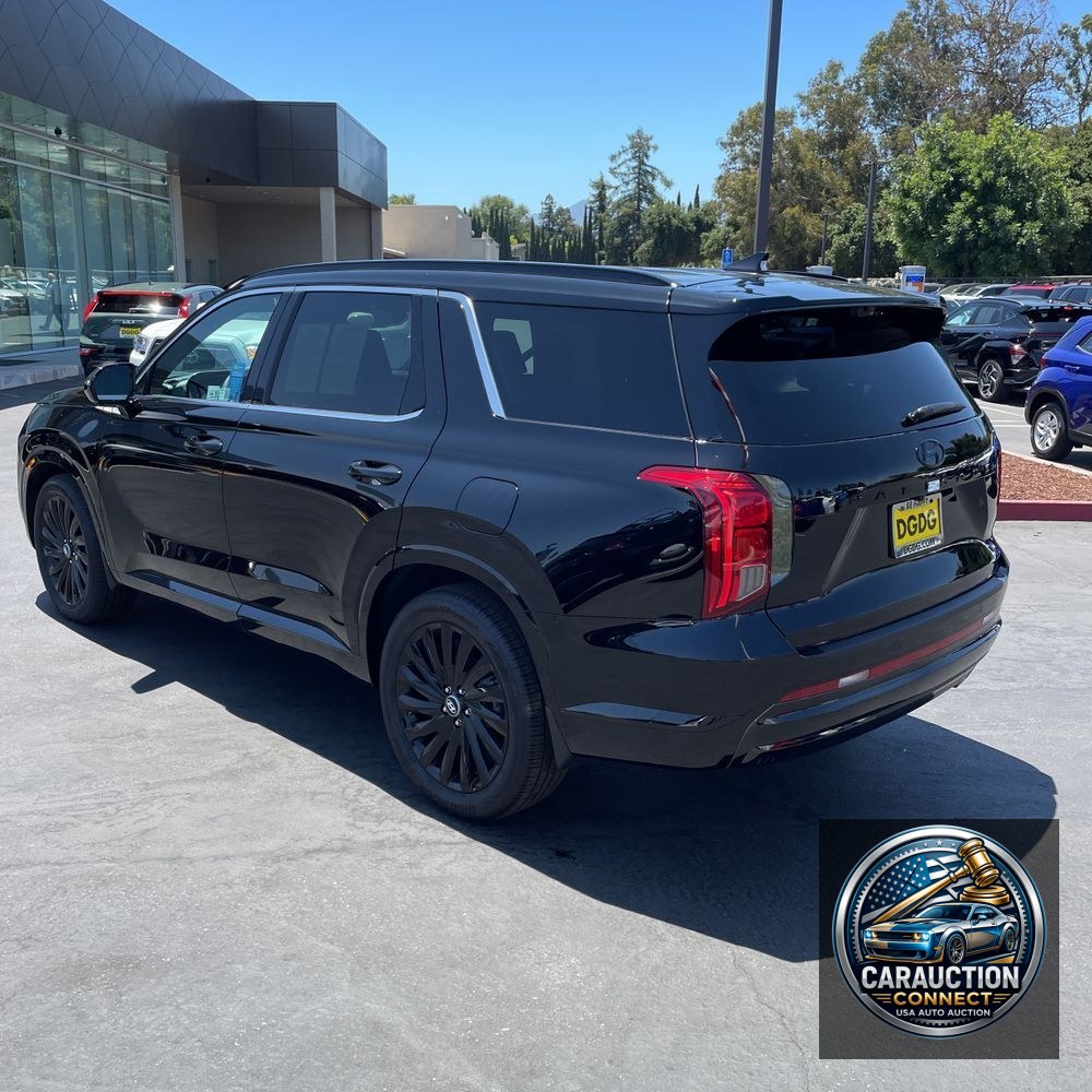 2025 Hyundai PALISADE Calligraphy Night Edition