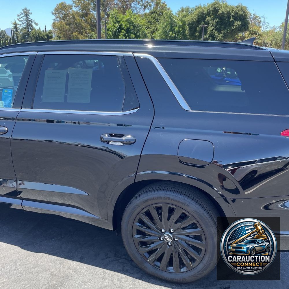 2025 Hyundai PALISADE Calligraphy Night Edition