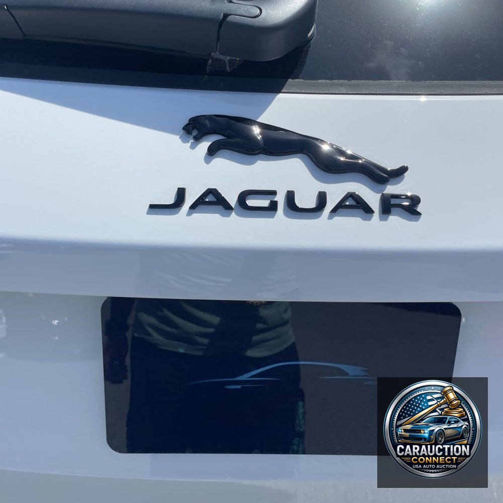 2026 Jaguar  F1 pace 90th anniversary