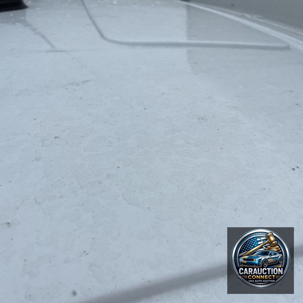 2023 Mercedes-Benz Sprinter 4500