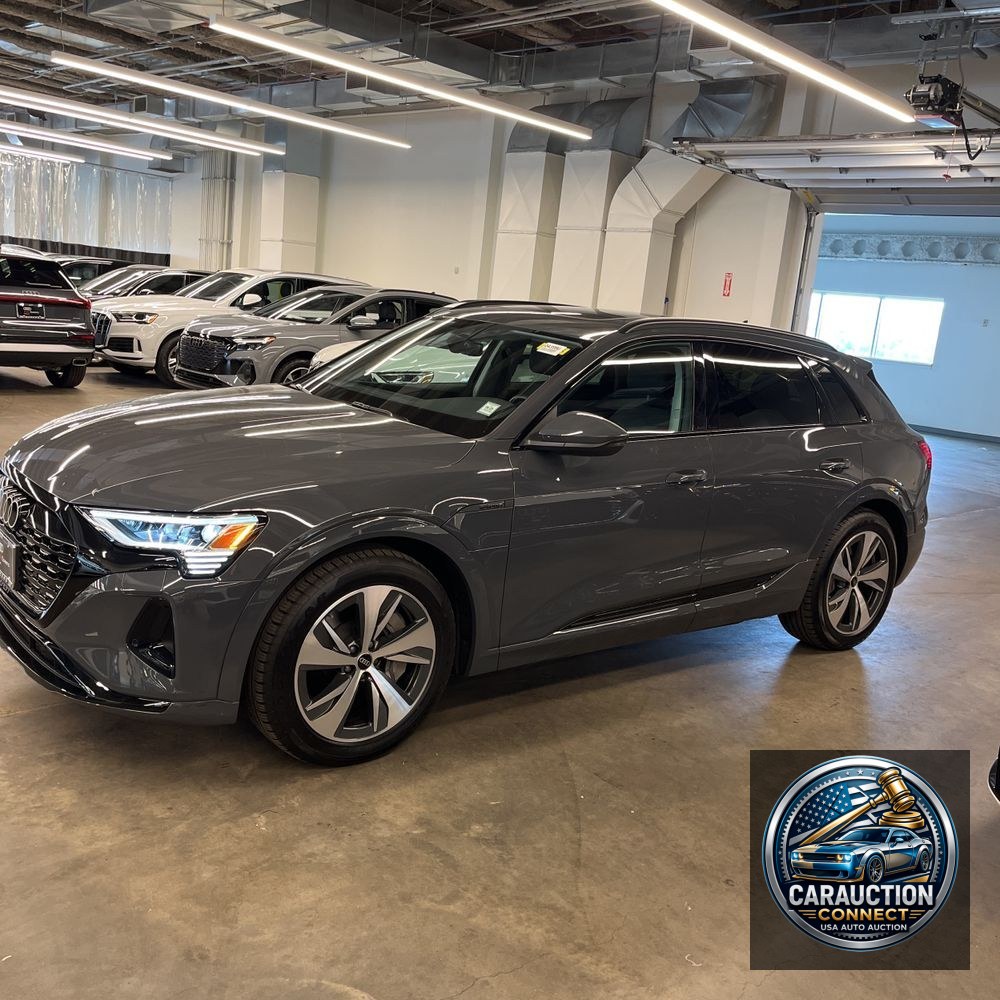2024 Audi Q8 e-tron Premium