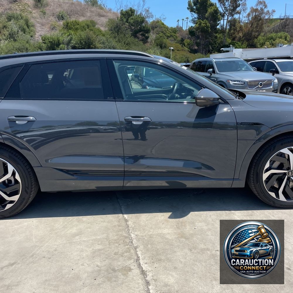 2024 Audi Q8 e-tron Premium Plus